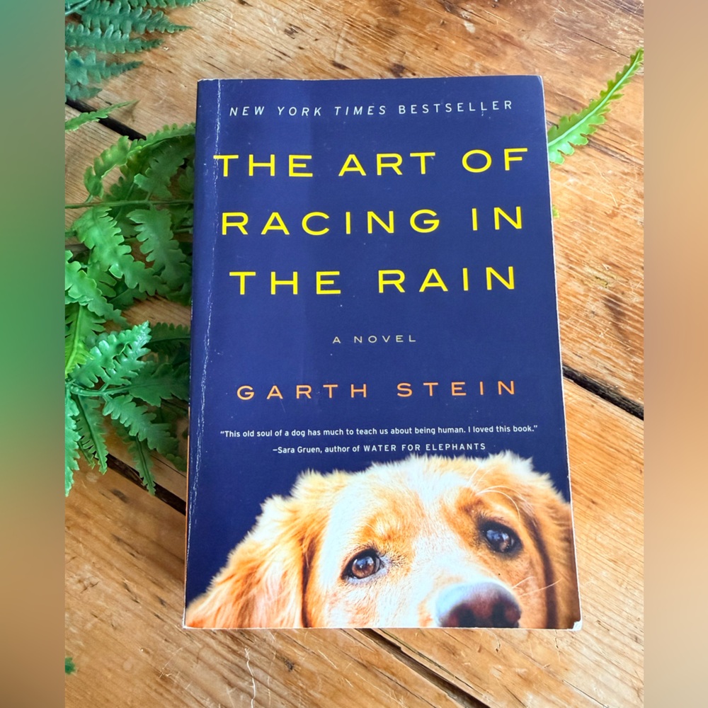 The Art of Racing in the Rain Book - Dog Lover's Novel